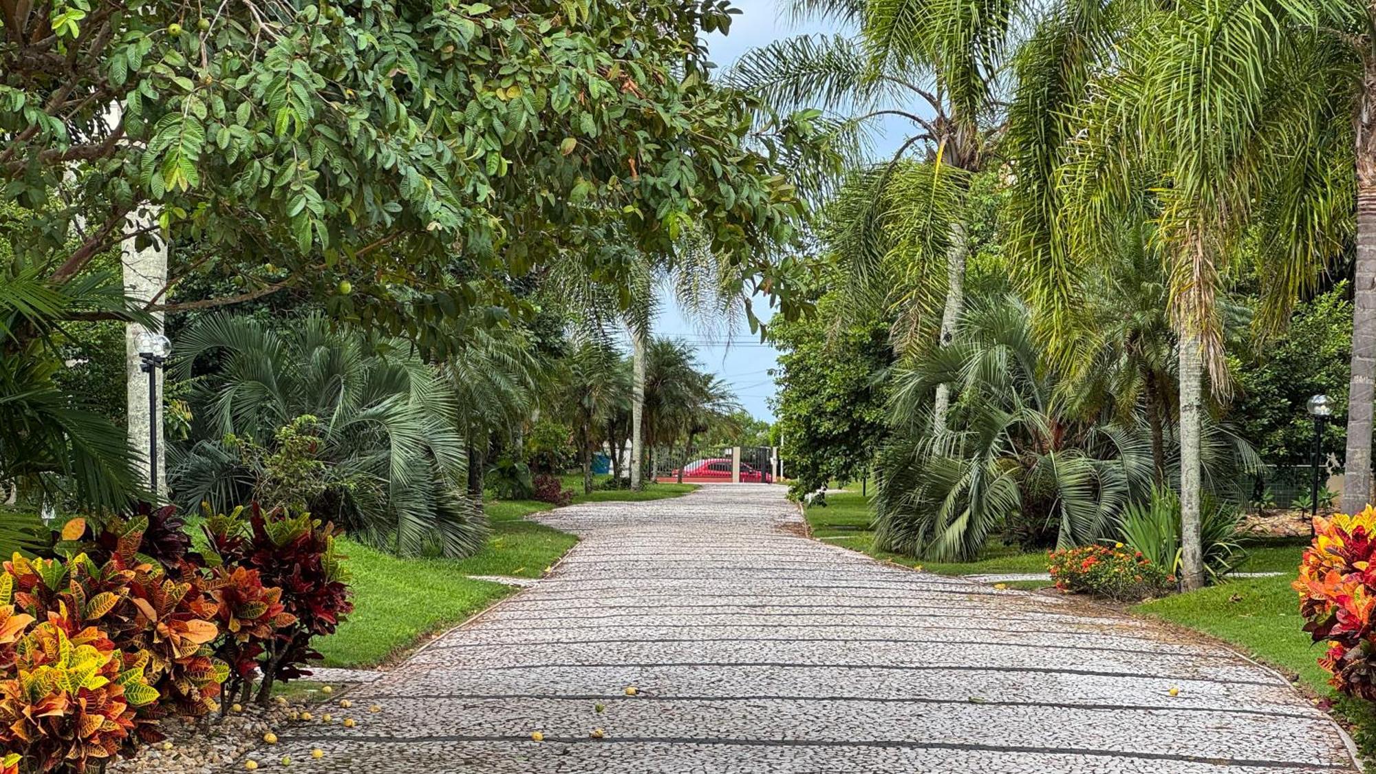 Florianópolis Apto Cond. Porto Ventura 3 Quartos מראה חיצוני תמונה